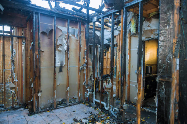 Professional Fire Damage Removal technician working in Warsaw, KY